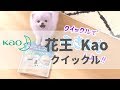 [日本廣告] 花王 Kao クイックル