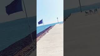 Paf Yatch Club, Aryanchors, Paf Yacht Club Event