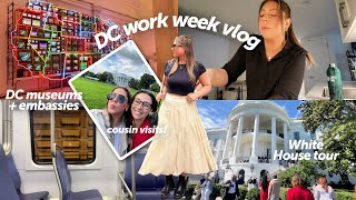 work week in my life in DC! White House & Embassy days with my cousin, Trader Joe's haul, Work plan