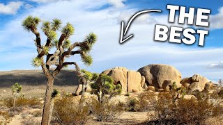 Took the hybrid camper to joshua tree national park south blm
dispersed campground. this is our favorite spot take travel trailer
yet! spen...