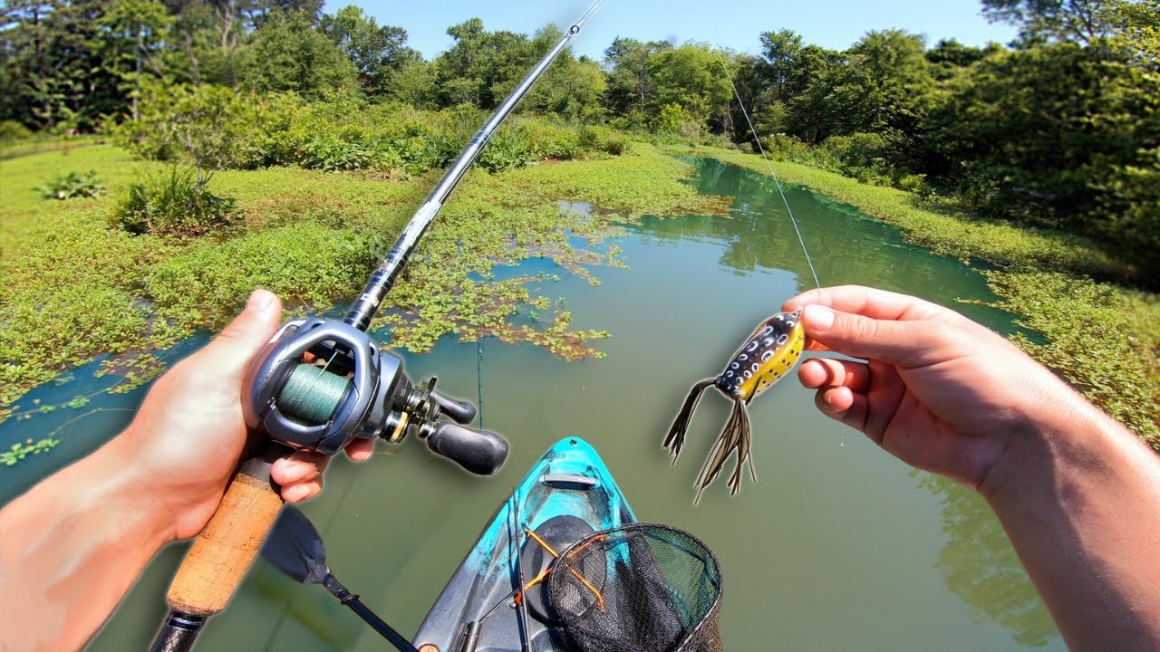 Fishing THICK VEGETATION For MEAN BASS! (Kayak fishing)