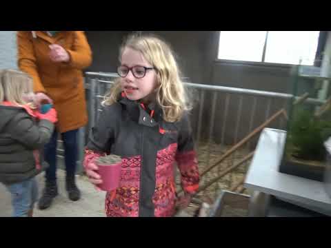 Kinderboederij De Dierenvallei
