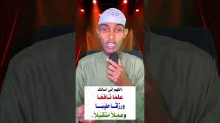 Download Lagu Wll kheerka faafi MP3