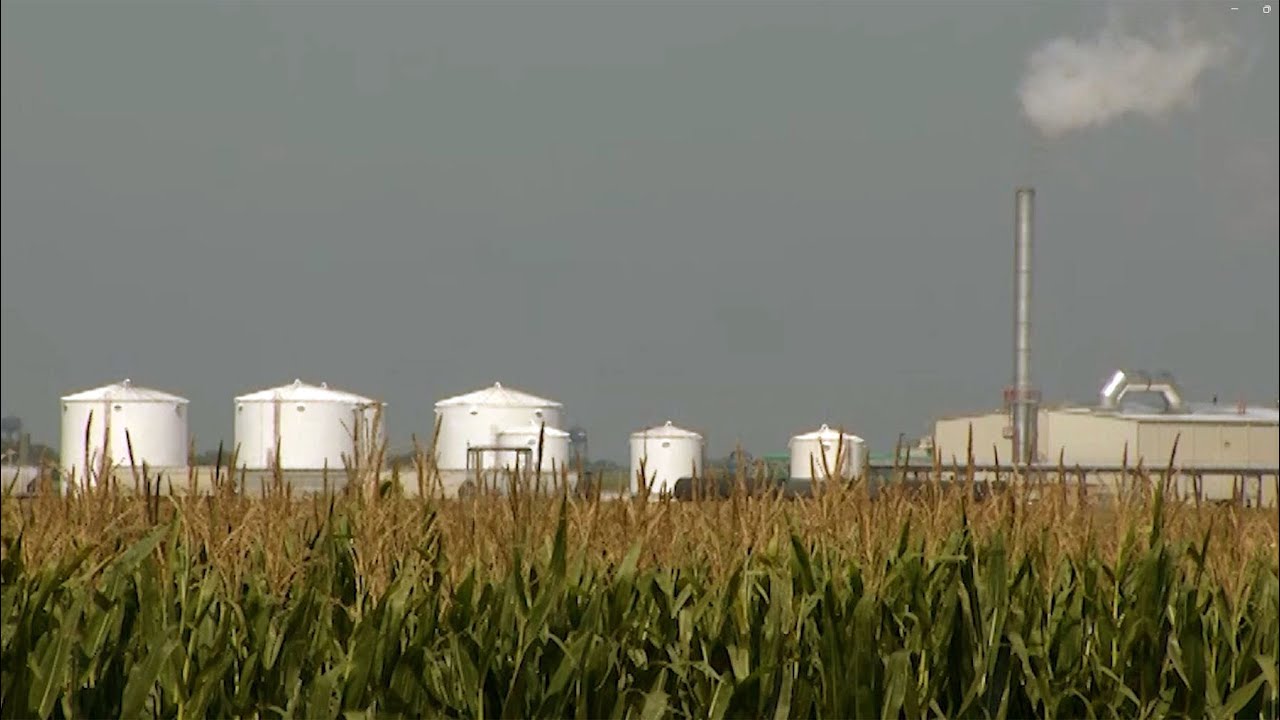 This Week in Agribusiness Nov 23 2024 - YouTube