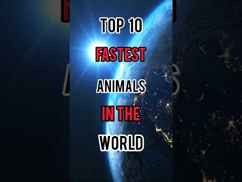 Top 10 fastest