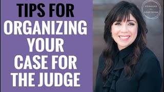 Organizing Your Case for The Judge | Child Custody Hearing Tips