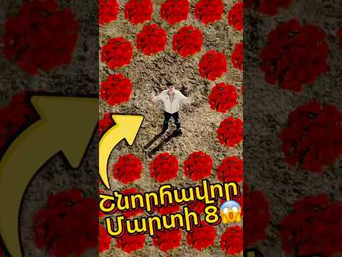 Դժգոհ Լիլիթը🤦🏻♂️🤦🏻♂️