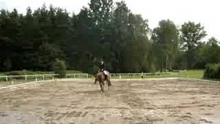 Marcin Puścikowski Jeny Kwalifikacja do MPMK