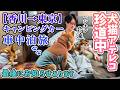 【香川→東京】キャンピングカー車中泊旅！犬猫と次男の珍道中🐶🐱【最後にお知らせあるよ🐾】