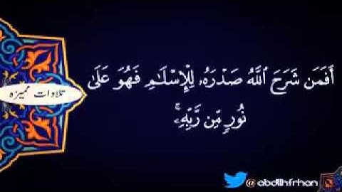 سورة الزمر من الايه (22) الى (33)  ماهر المعيقلي