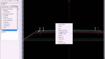 Dimensioning/Roadline flags definition