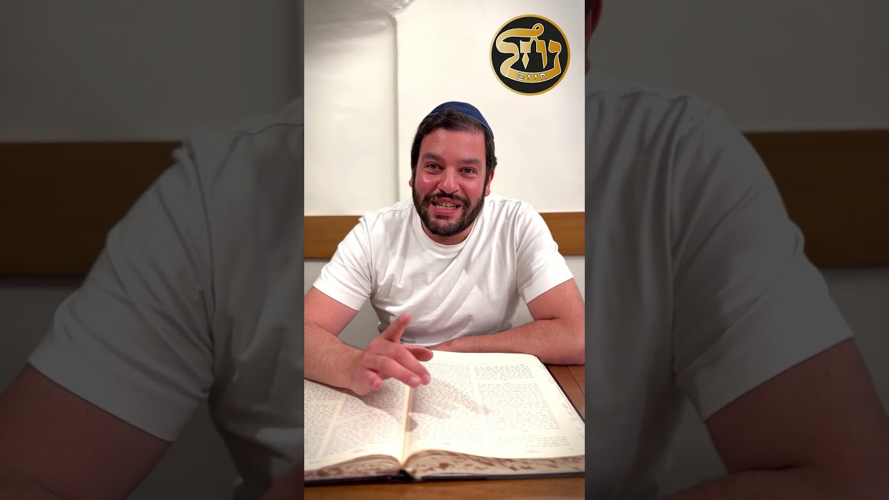 🔥Bienvenue à Nahal Haim🔥 👉Découvre LE NOUVEAU SPOT incontournable de #Jérusalem ✨#breslev #torah