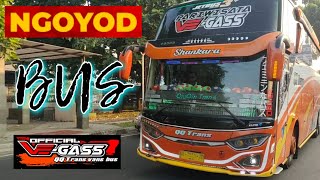 NGOYOD BUS QQ TRANS ”VEGAS' #ngoyod #ngoyodbus #bus #busmania #hunting #telolet #basuri