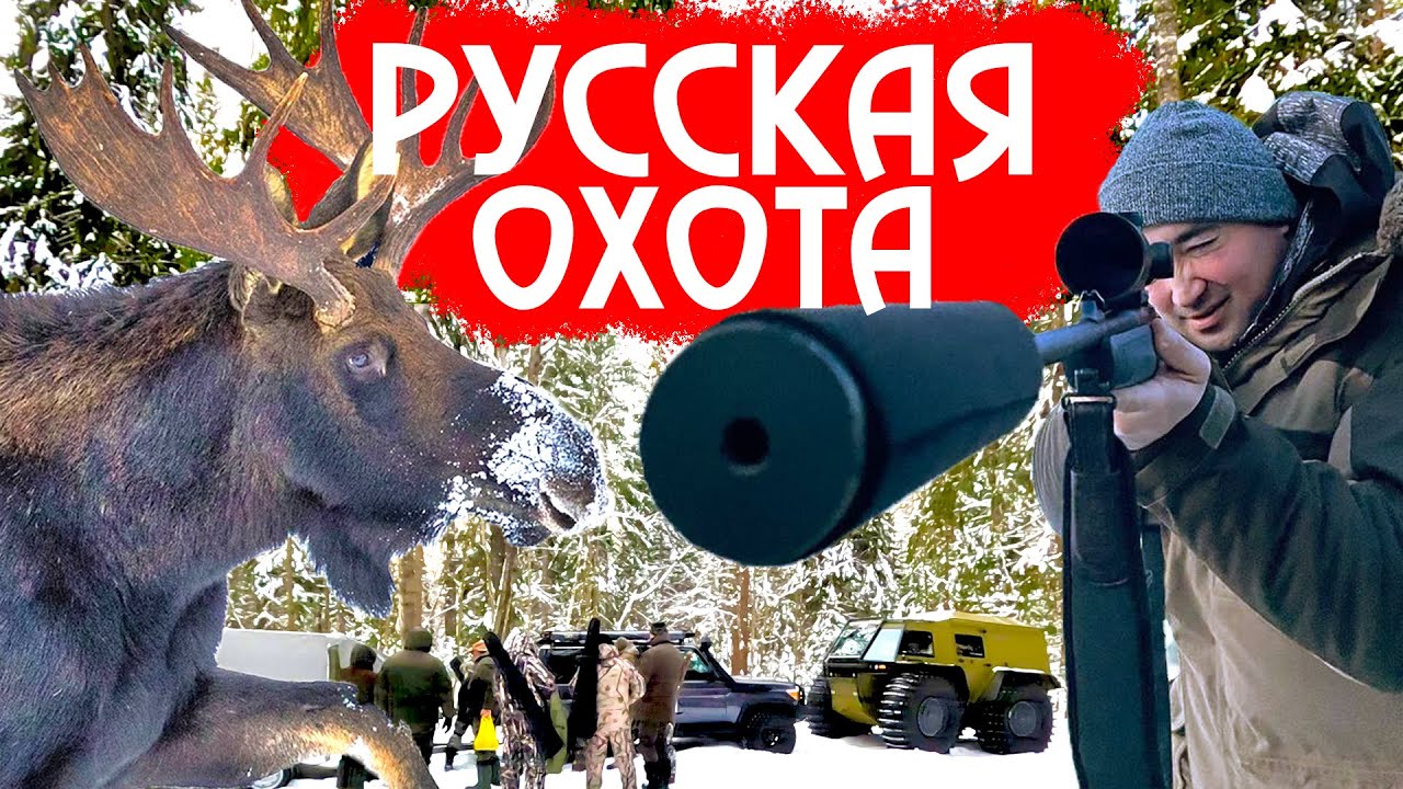 РУССКАЯ ОХОТА | РЕЦЕПТ ЛОСЯТИНЫ В КАЗАНЕ | ЖАРИМ ПЕЧЕНЬ ЛОСЯ | ЛОСИНЫЕ ...