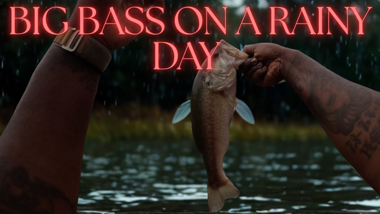 Caught HUGE bass on a rainy day.