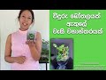How to make a terrarium in Sinhala 2025 / වීදුරු බෝතලයක වැසි වනාන්තරයක් හදමු / terrariums ideas
