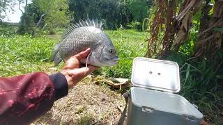 Mancing berburu ikan Besar