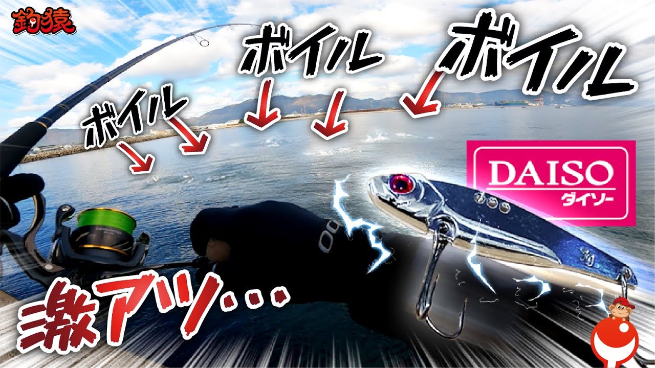 【堤防釣り】ボイルの中にダイソー100均ルアー投げ込んでみたら！