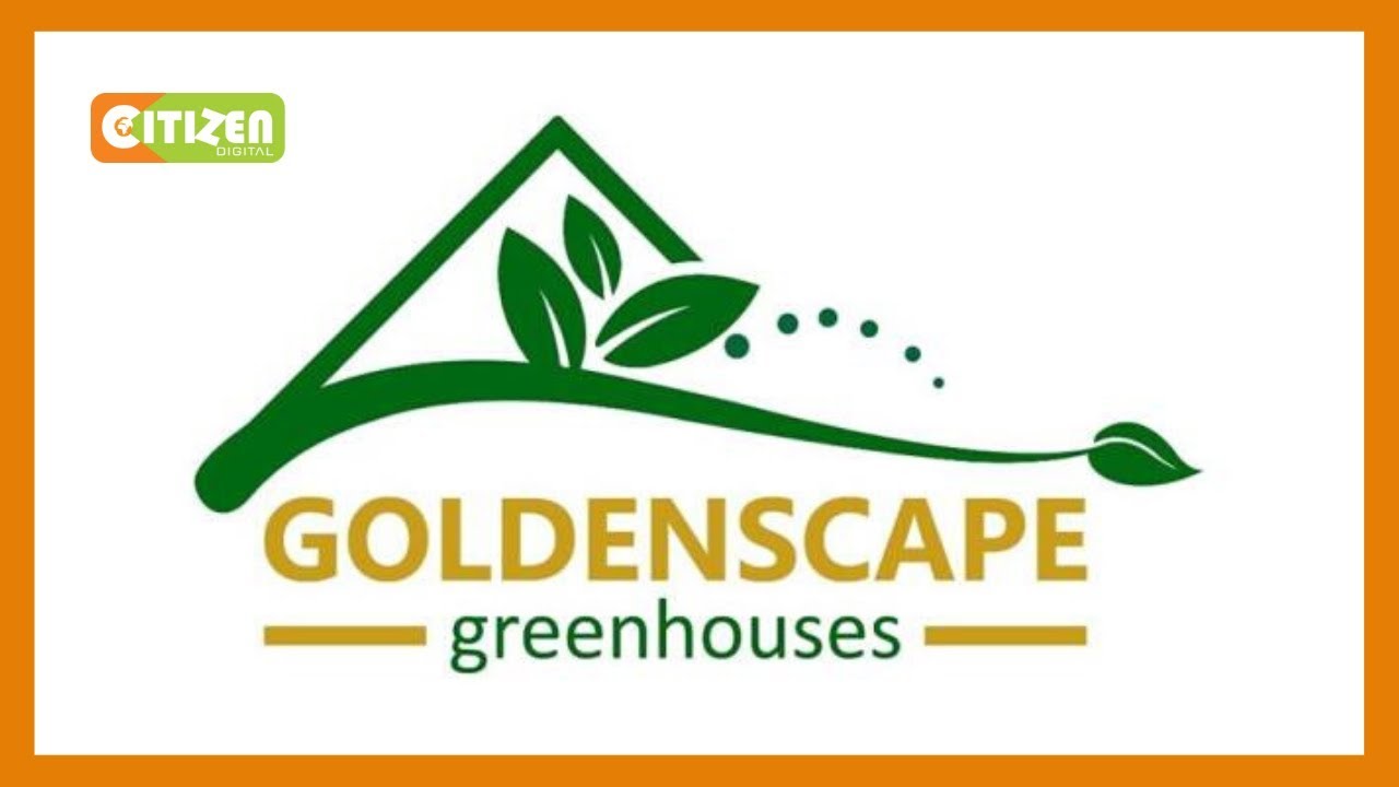Police launch manhunt for Goldenscape CEO