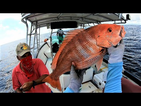 HAND LINE FISHING FOR MONSTER RED SNAPPER AT 500 FEET