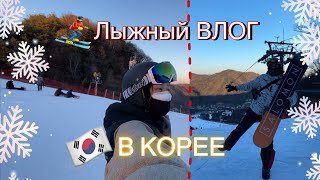 ВЛОГ: Сноуборд и лыжи в Корее| ЕДЕМ НА ГОРНОЛЫЖНЫЙ КУРОРТ #жизньвкорее #влог