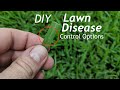 How To Prevent Fungus In The Lawn Using Home Depot Products | Lawn Fungus Control