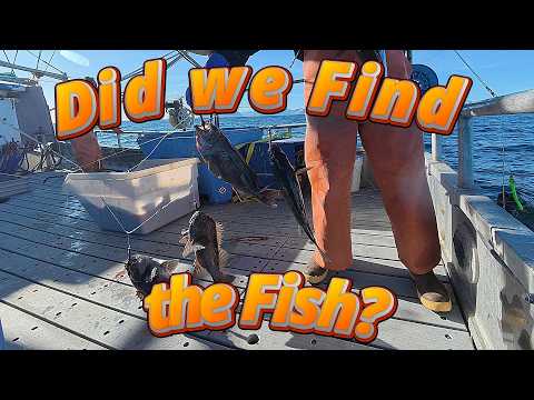 Fishing After the Blow! | Jigging for the Elusive Rockfish!