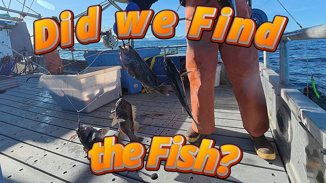 Fishing After the Blow! | Jigging for the Elusive Rockfish! - Part 1