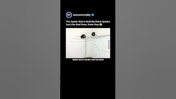 This Spider Web Is Built By Robot Spiders Just Like Real Spiders. Know How 😱 #robot #shorts #spider