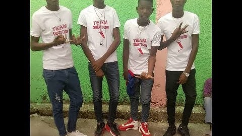 TEAM SMART  FLOW FREESTYLE