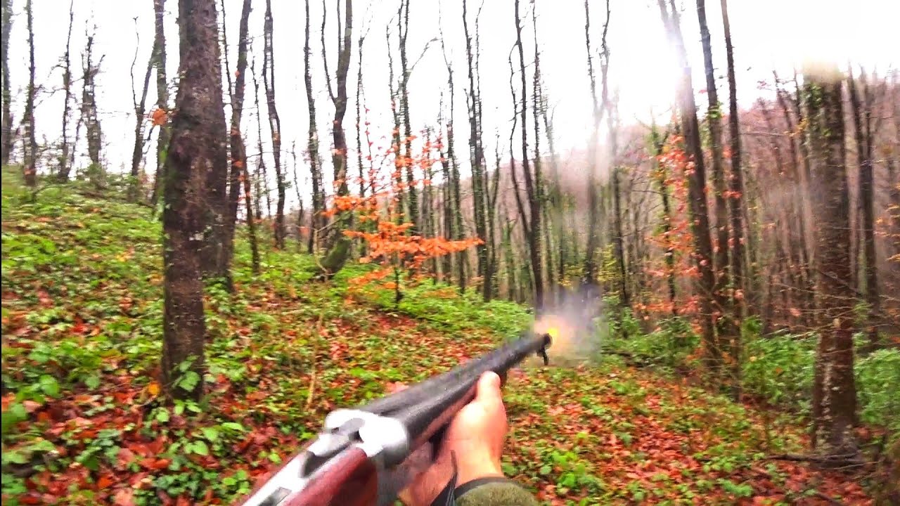 YAĞMURLU BİR GÜNDE ÇULLUK AVI. CACCİA ALLA BECCACCİA. WOODCOCK HUNTİNG ...