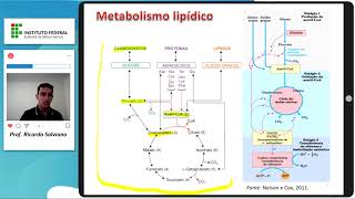Metabolismo de lipídeos - parte I (Introdução, absorção e transporte de gorduras)