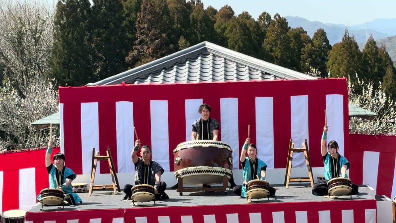 吉野梅まつり2部　2026/03/01  吉野臥龍梅太鼓