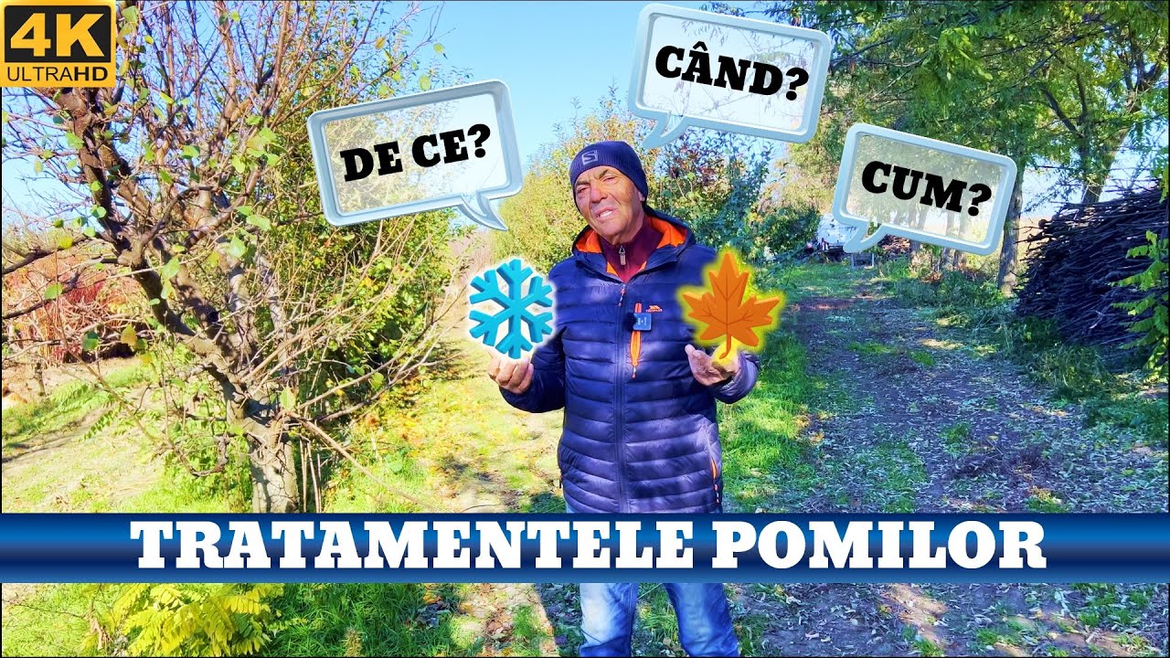 Tratamente Esentiale Toamna si Iarna 🍂❄️