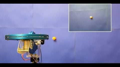 Visual servoing using a 2DOF model helicopter