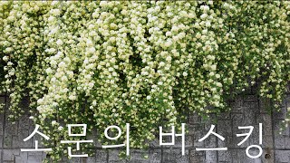 051426 무슈브리즈 (Monsieur Breeze Busking) | 구파발역 | Full Ver.