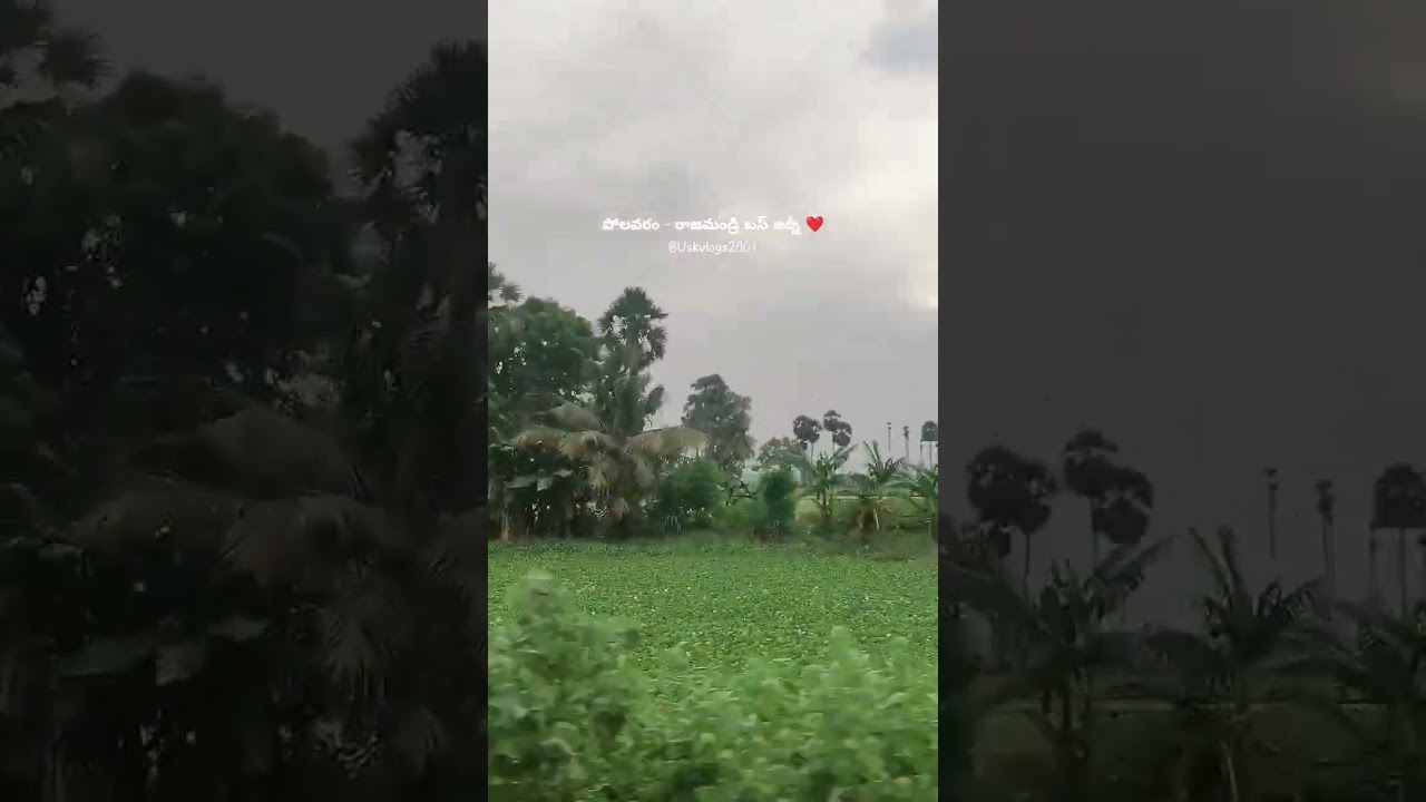 Polavaram - Rajamandri Bus Journey ❤️