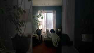 Day 2 Before The Bath.