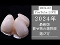2024年最新版被せ物の選び方