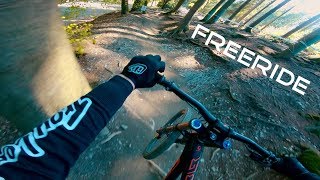 Bikepark Winterberg - Freeride / 2019