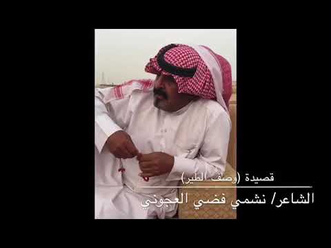 قصيدة وصف الطير