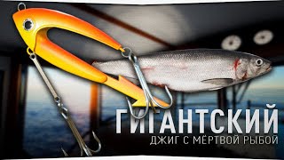 Гигантский джиг с мёртвой рыбой • Русская Рыбалка 4