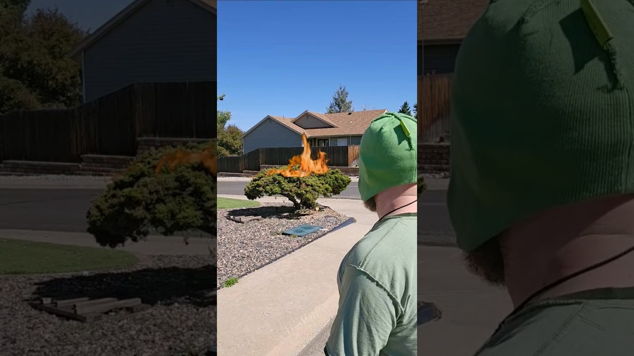 Get Ready For Zelda Day...TODAY!