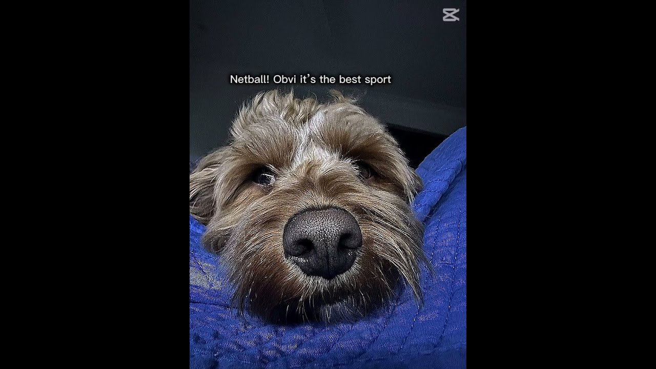 The First Photo Was Back Burning Just So U Know Netballers Australia Sports Sunset Netball