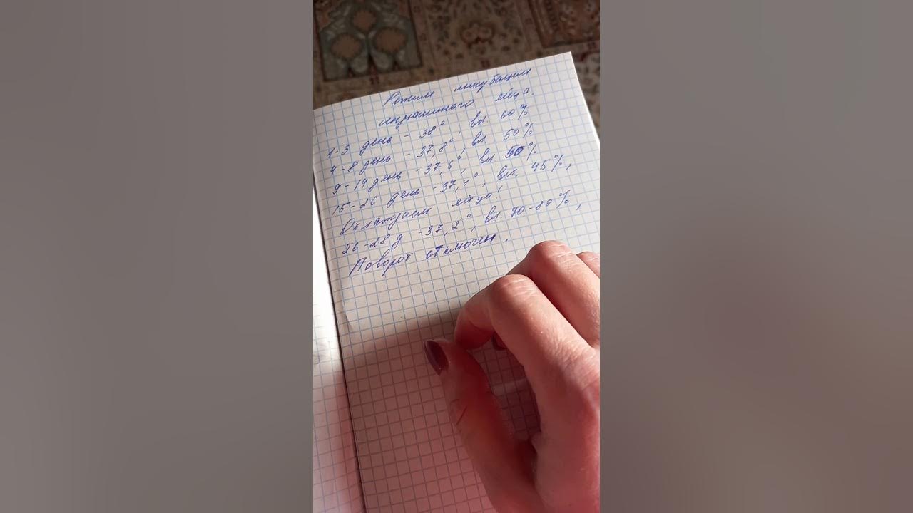 💯Самый точный!!!! Режим инкубации индюшиного яйца.💥 Норма Парка.🦃 - YouTube