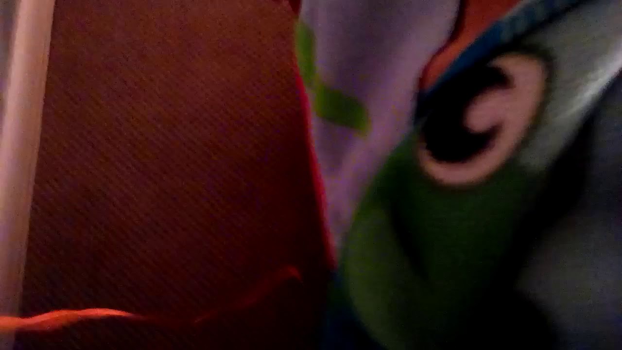 Princessoffarts Princessoffarts