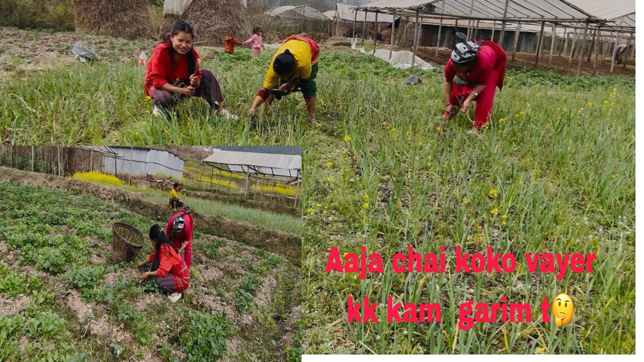 Volg eps-42 sasu mom haru sg kam gardai ma😊