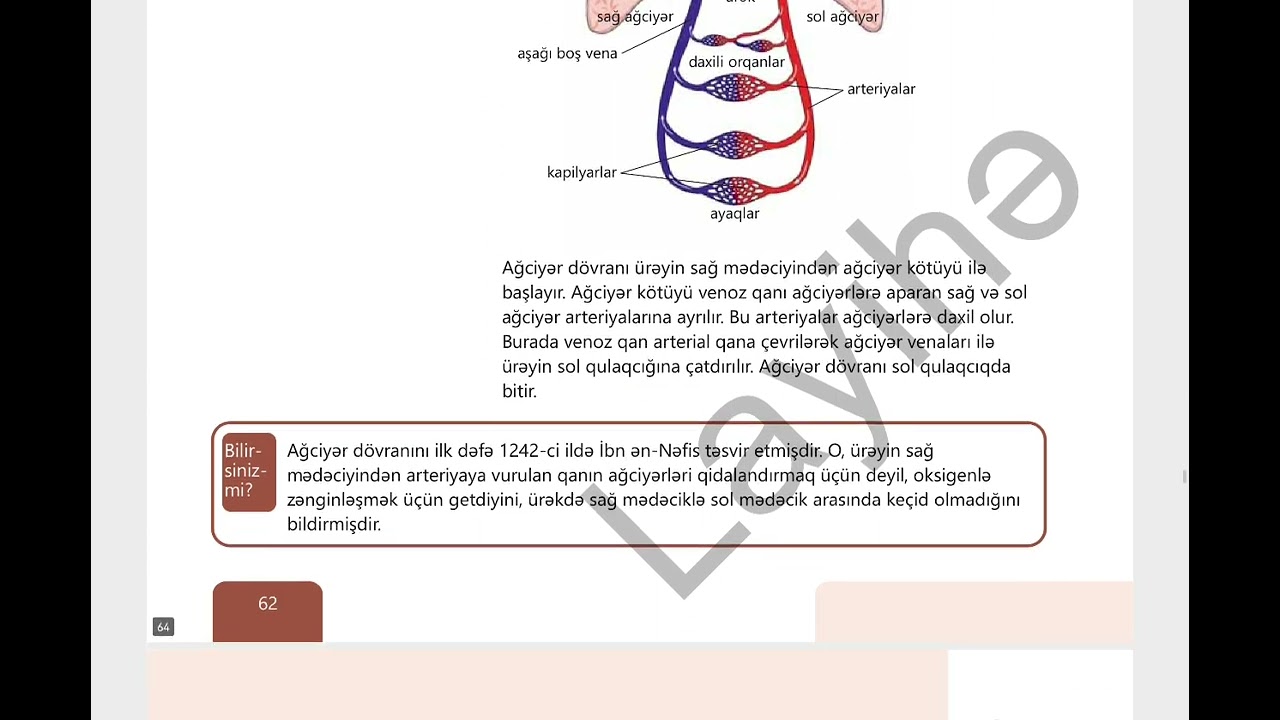 Yeni 8ci sinif Biologiya dərsliyindən.Qan dövranı.