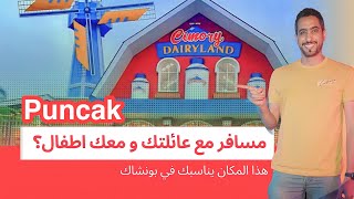 أحد أفضل الأماكن للعوائل و الأطفال في #بونشاك - Cimory DairyLand Theme Park #puncak