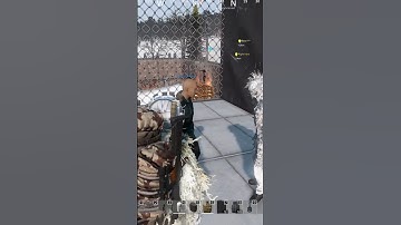 The average DayZ experience..